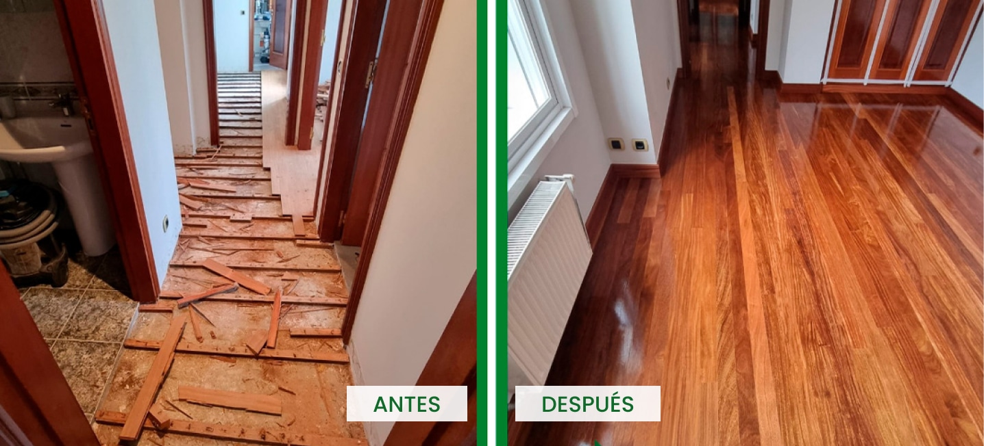 tarimas-slide-2